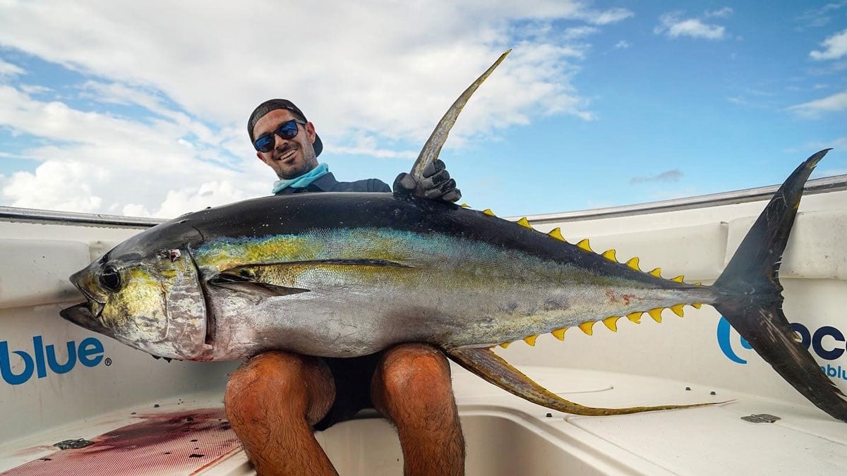 Yellowfin Tuna